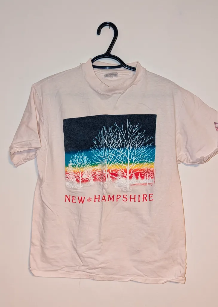 Hanes Beefy-T New Hampshire Tee - Size Large photo 1