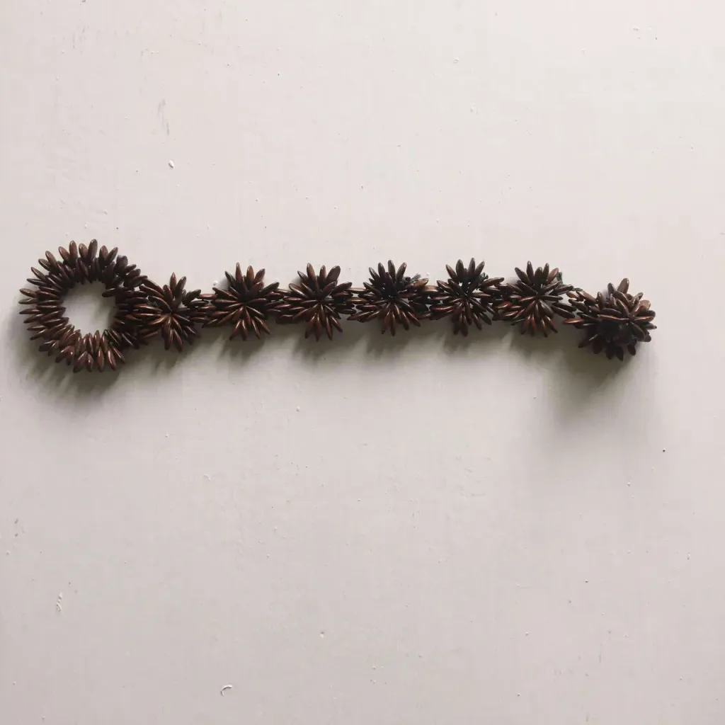 Unique Bracelet Made from Fruit Seeds photo 1