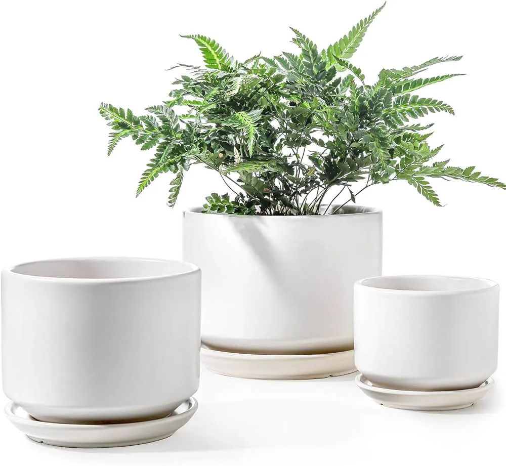 I am looking for 6” ceramic pot or planter to trade photo 1