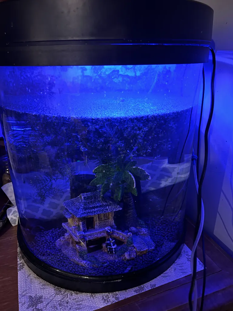 10 Gallon Half Moon Aquarium with everything needed photo 1