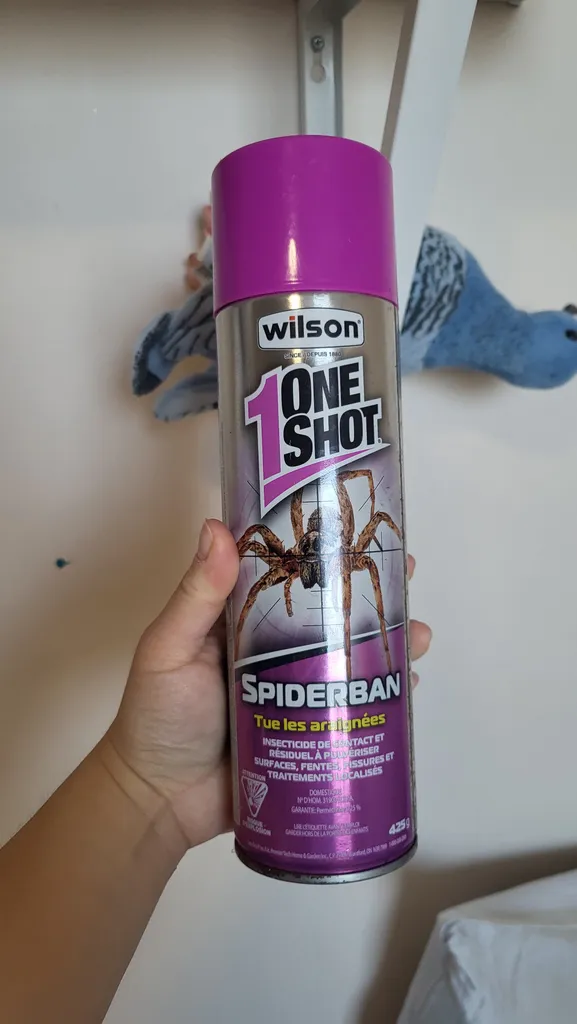 One Shot Spider Ban photo 1