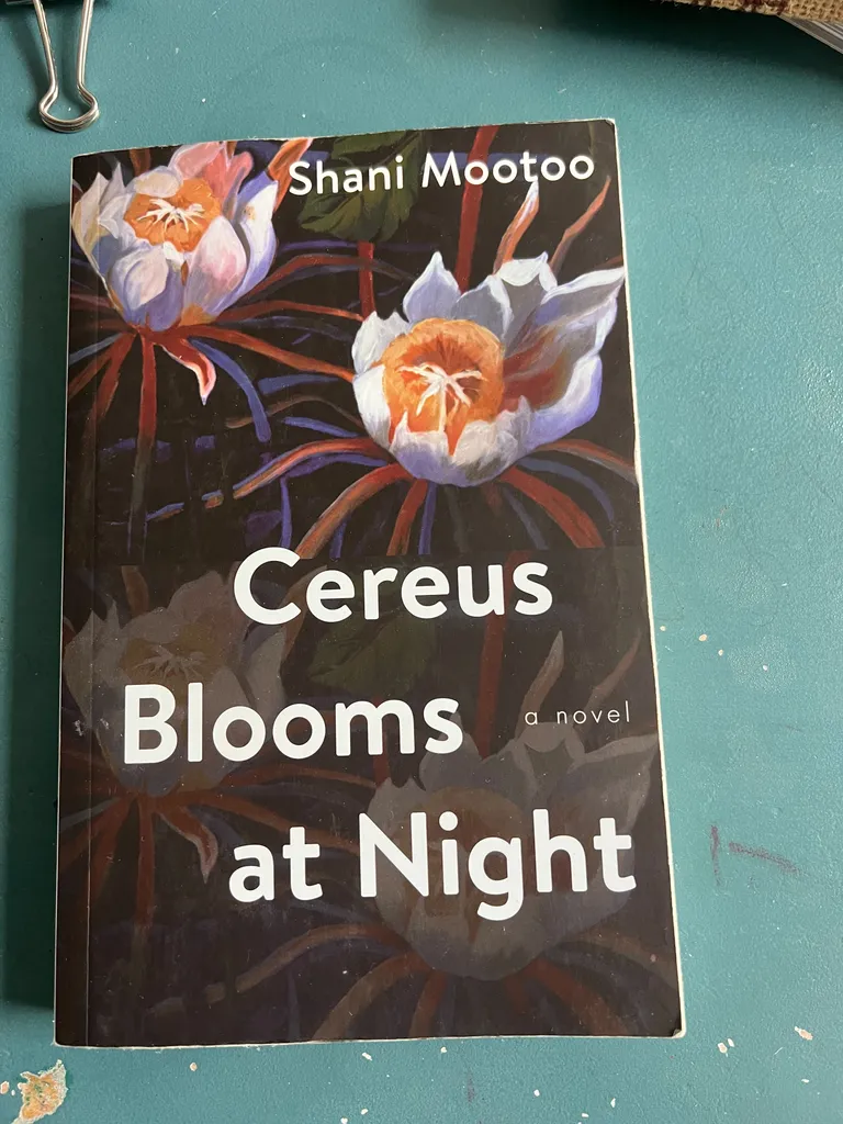 Cereus blooms at night  photo 1