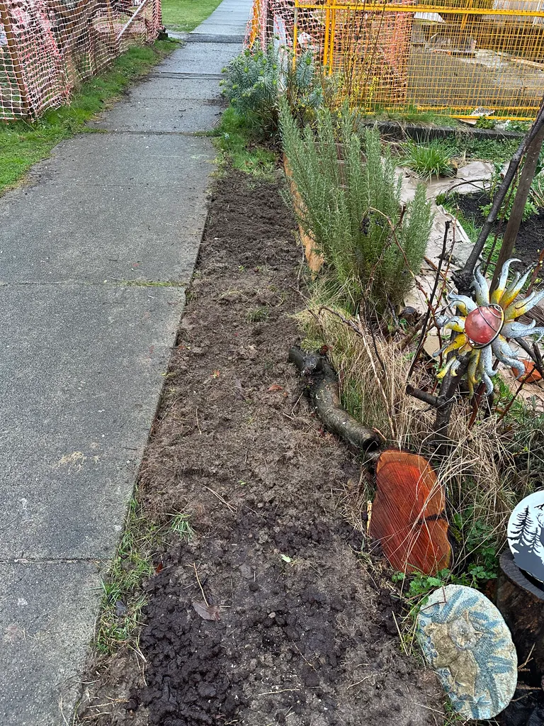 Hella rosemary photo 1