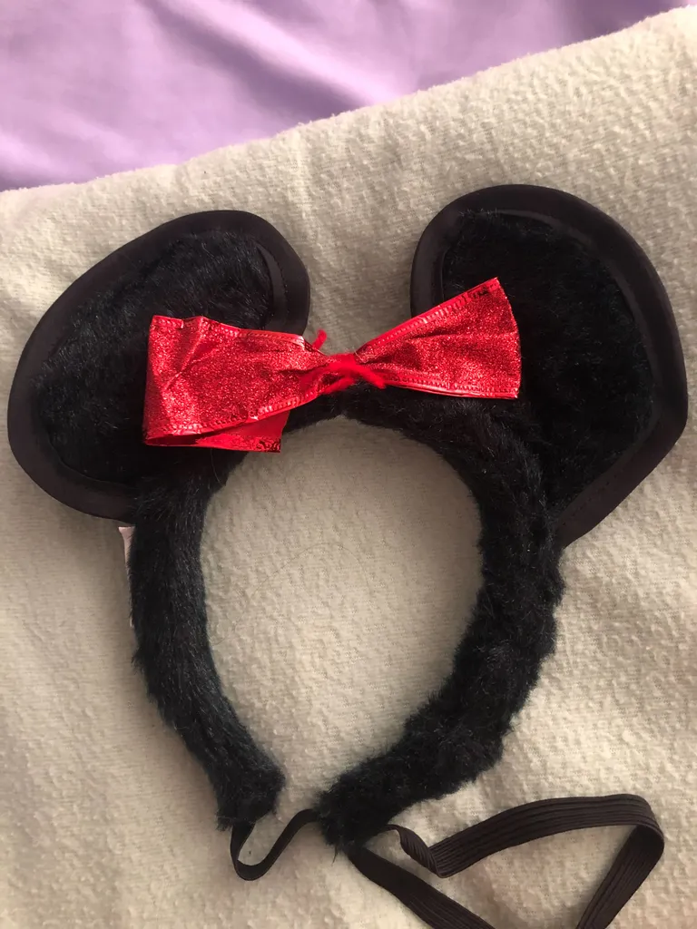 Mickey Mouse ears photo 1