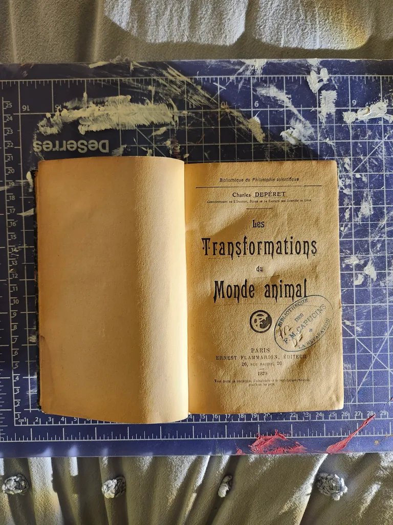 Rare/Fancy/$$$ French Novels (Fiction & Non Fiction)  photo 1