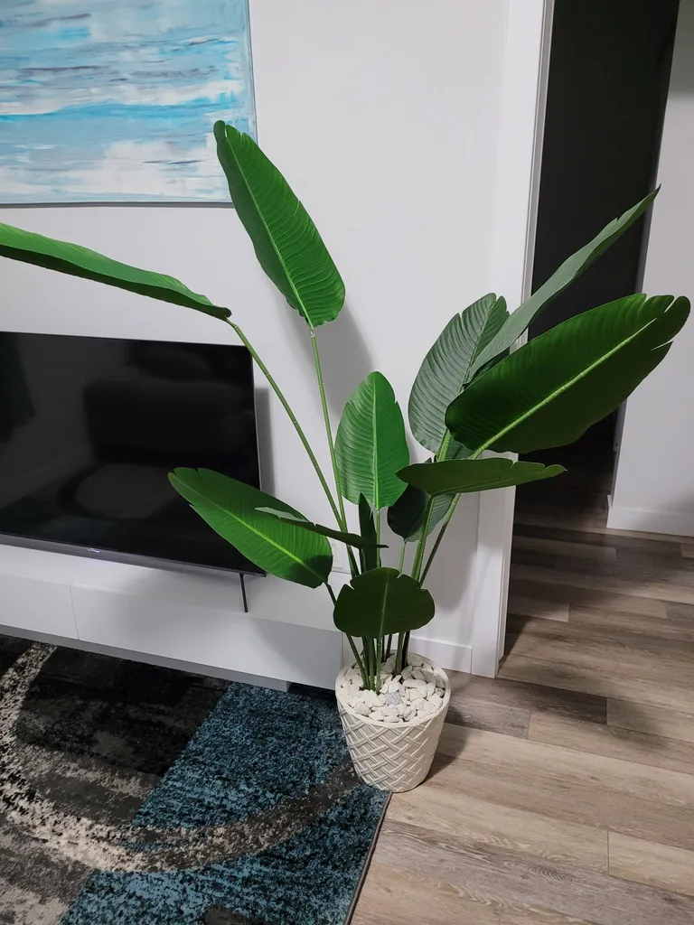 Plant deco.plastic Bunz FREE photo 1