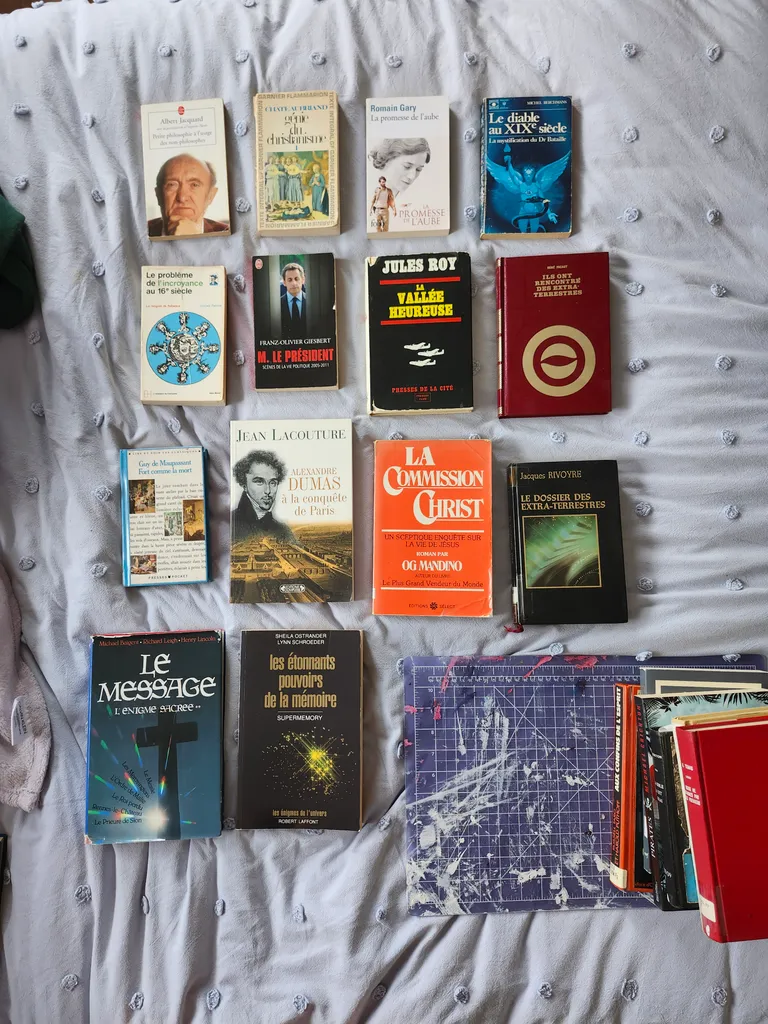 *TO BE UPDATED* MASTER LIST : French novels/ Authors photo 1