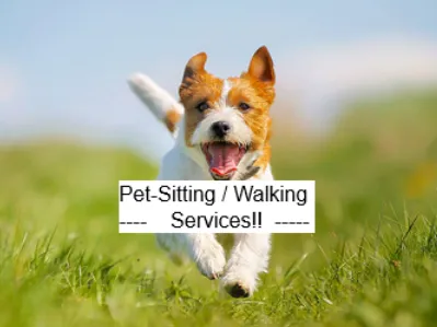 Pet-Sitting / Walking Services!! photo 1