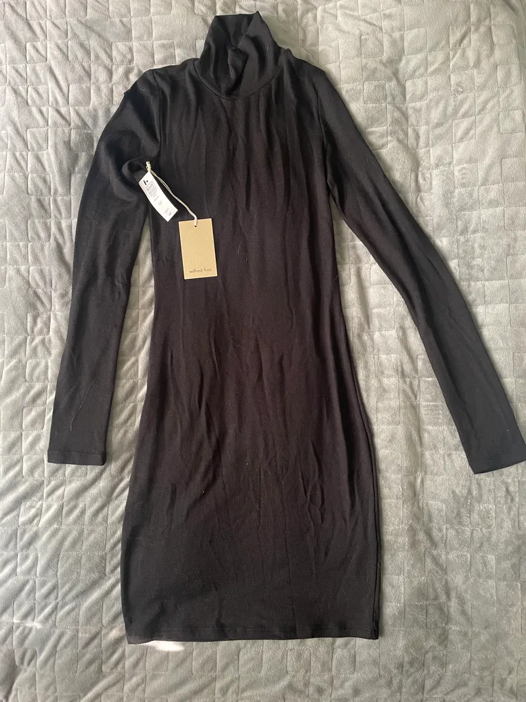 BNWT Wilfred Free Dress photo 1