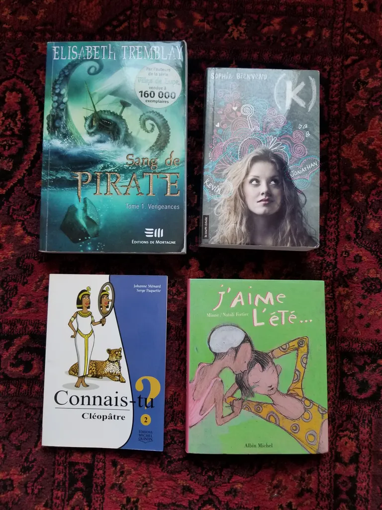 Livres jeunesse/jeune adulte photo 1