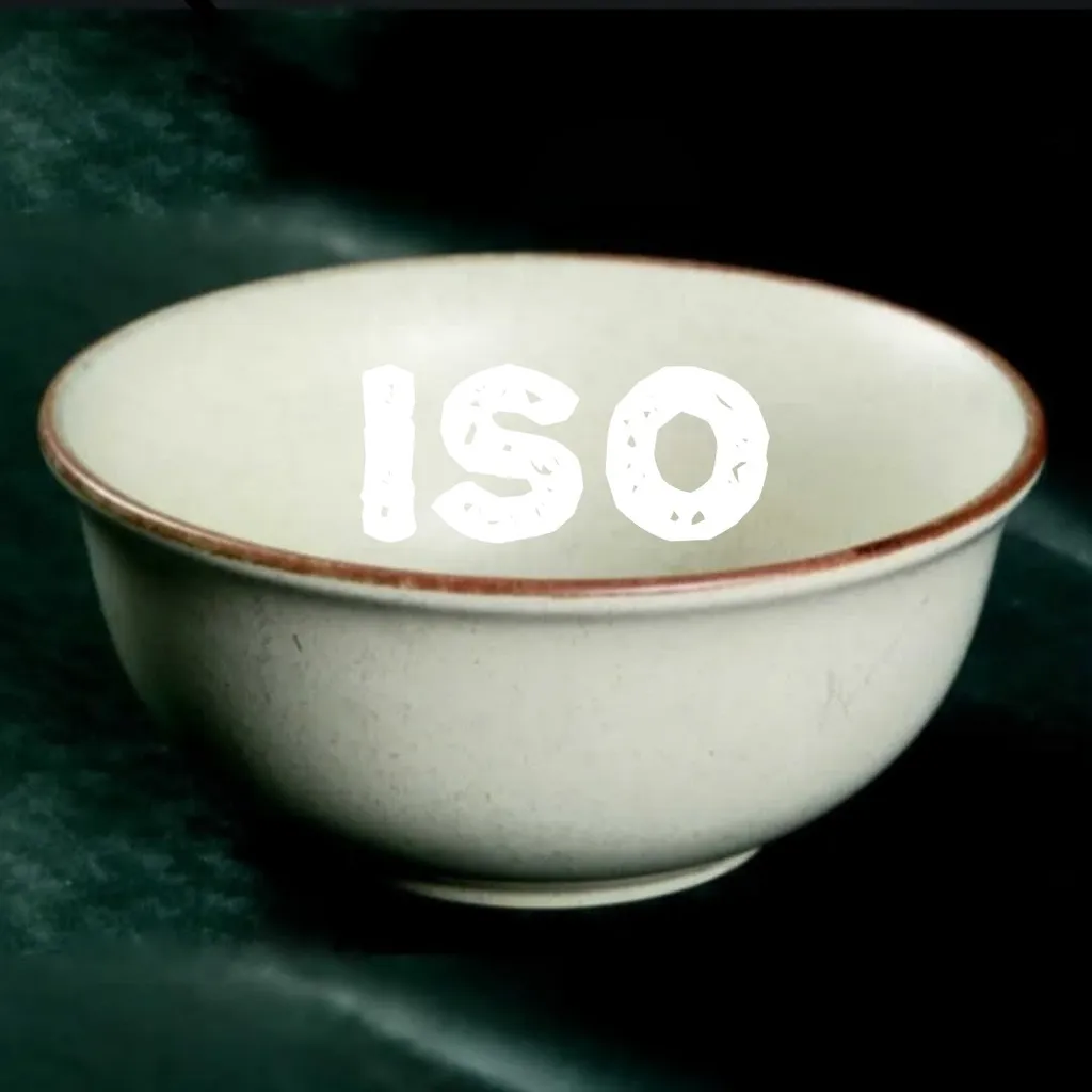 ISO - Collection Manoir dishes photo 1