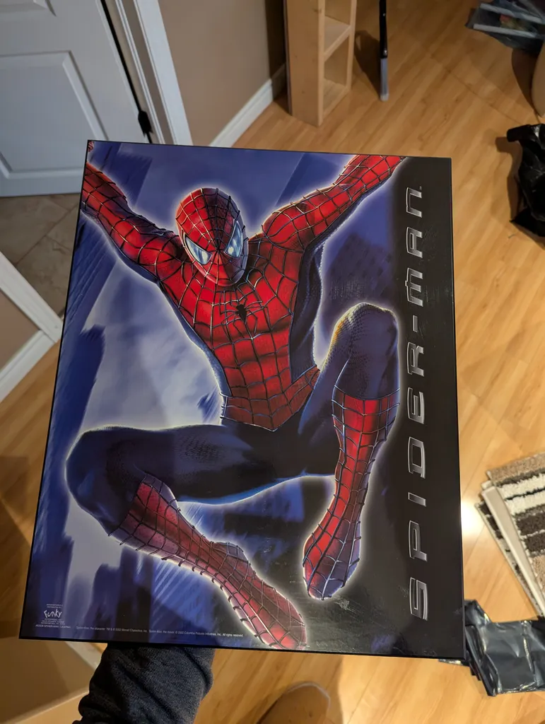Plaqued Spider-Man Poster photo 1