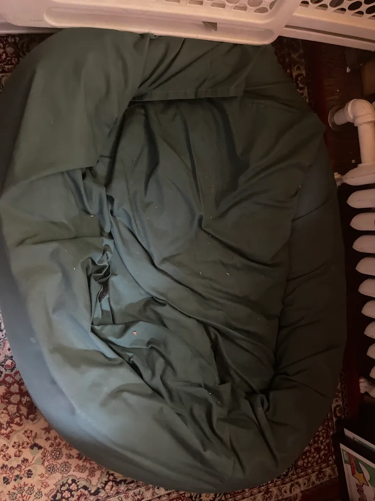 Dog bed and bowls and gates and senior food  photo 1