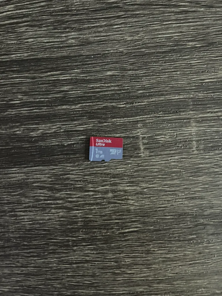 1TB SanDisk MicroSD photo 1