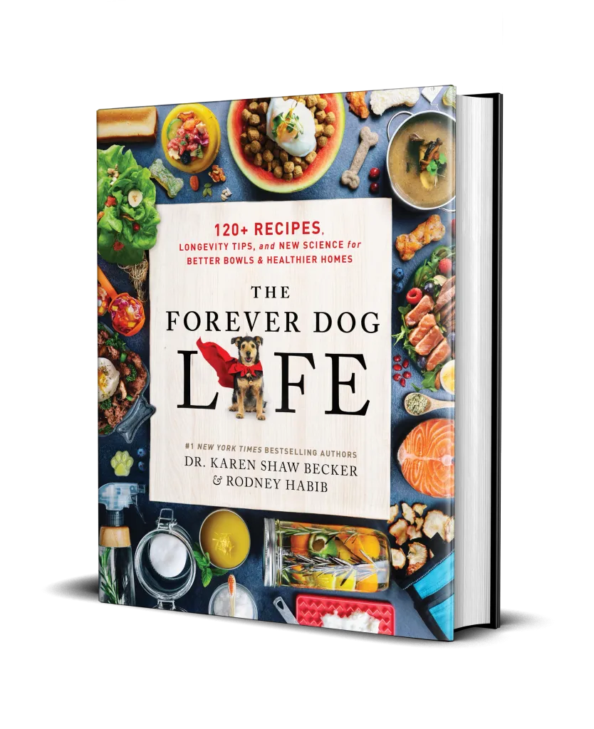 ISO The forever dog book photo 1