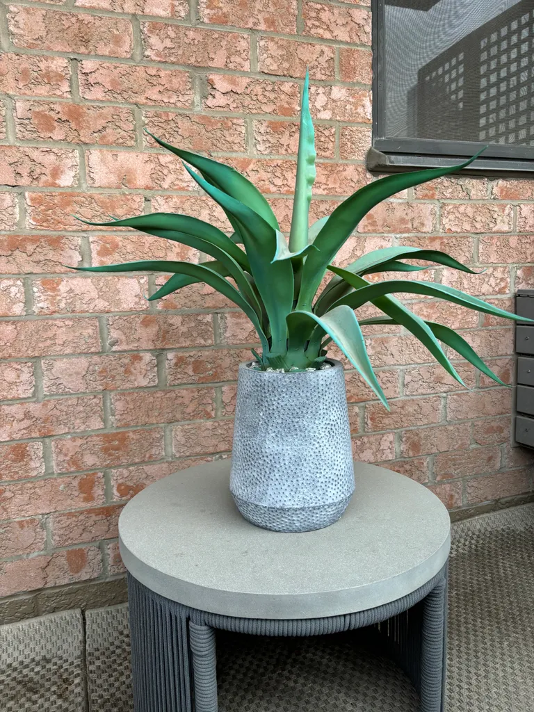 Fake Spider Plant with Pot photo 1