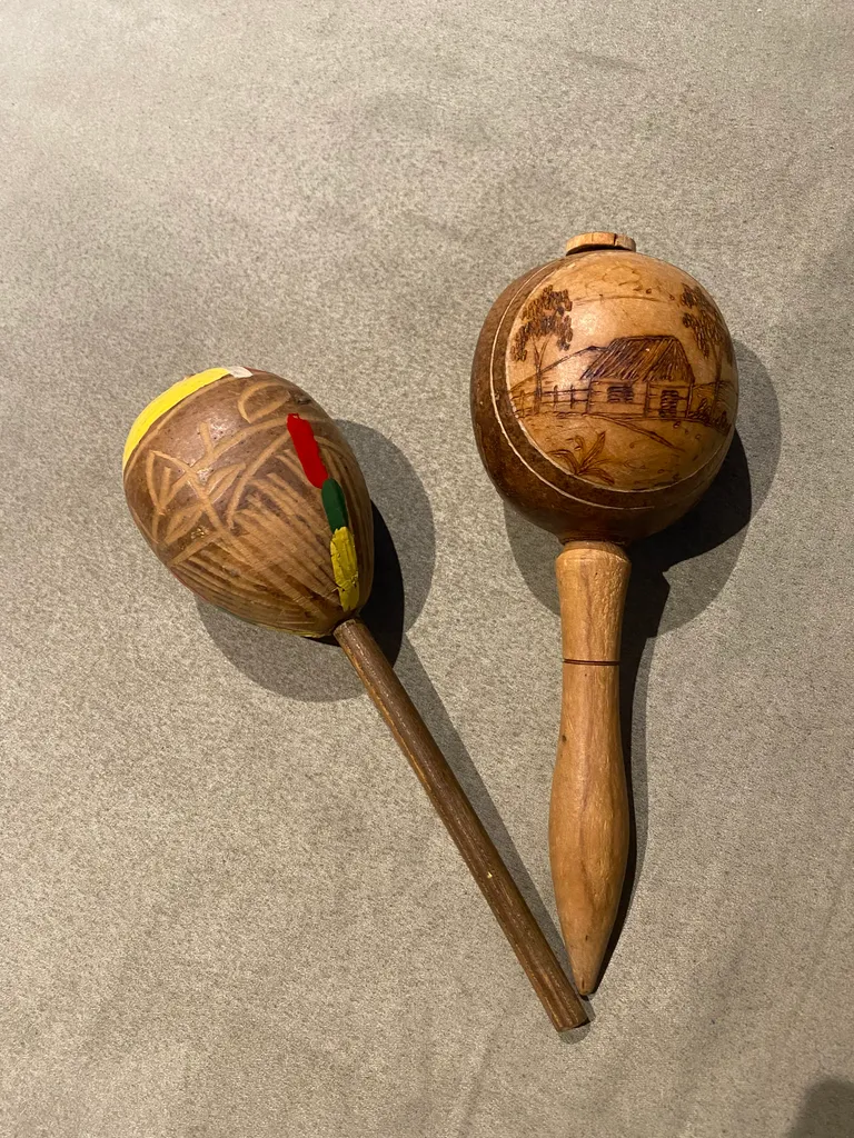 Maracas 🪇  photo 1