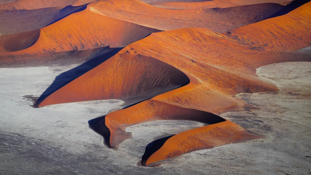 Wanted: Vintage Photographs for Art Collages photo 1