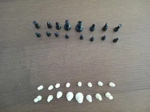 Small Plastic Chess Set photo 1