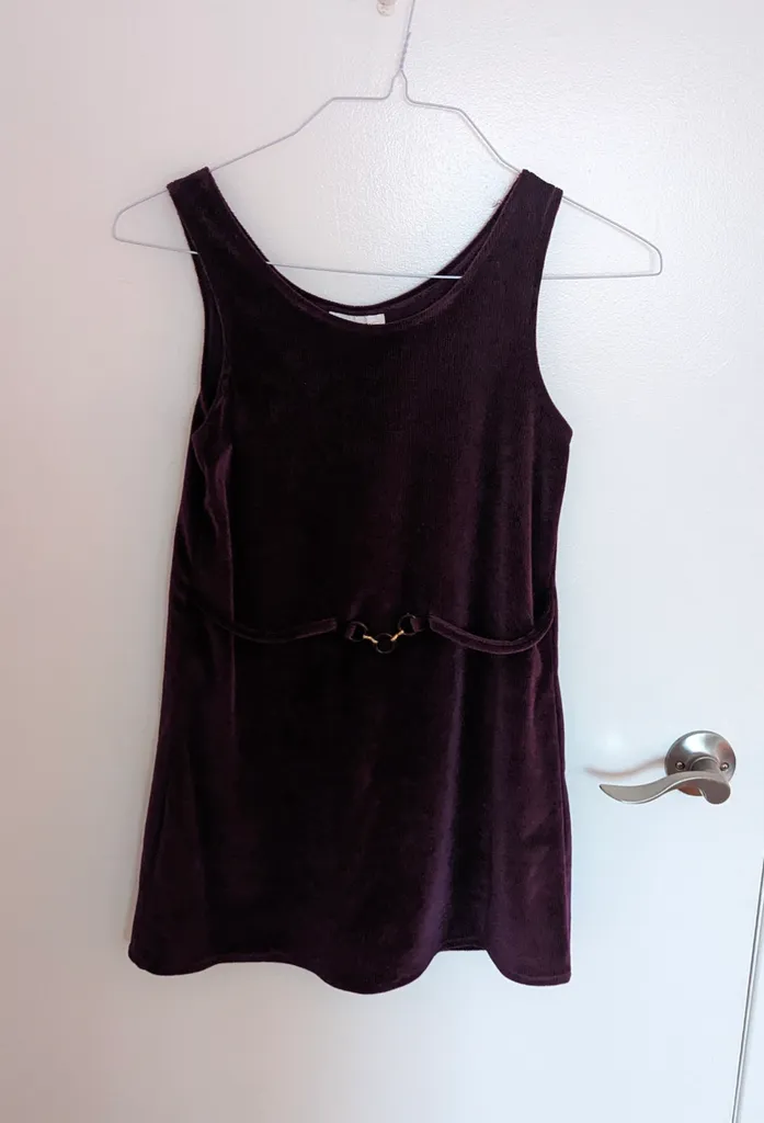 Jilly Velvet Dress - Youth Size 12 photo 1