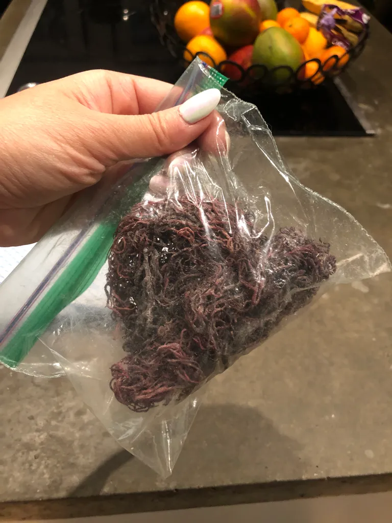 Purple Seamoss wild crafted from st lucia photo 1