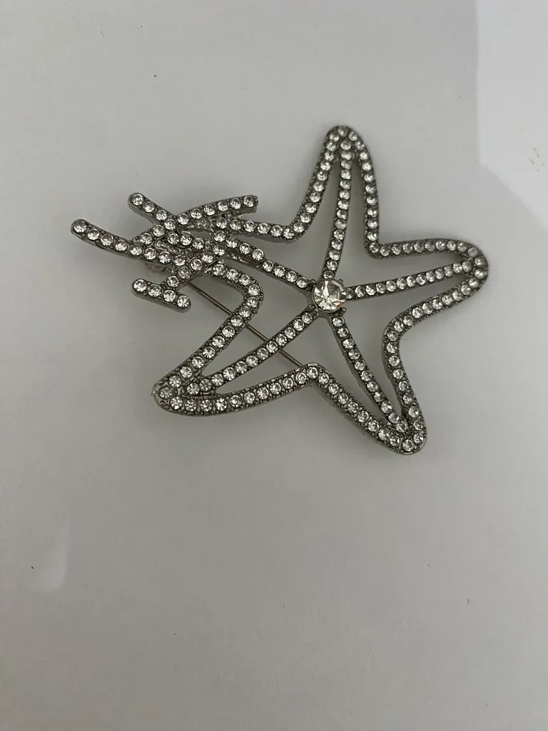 Silver Starfish Brooch photo 1