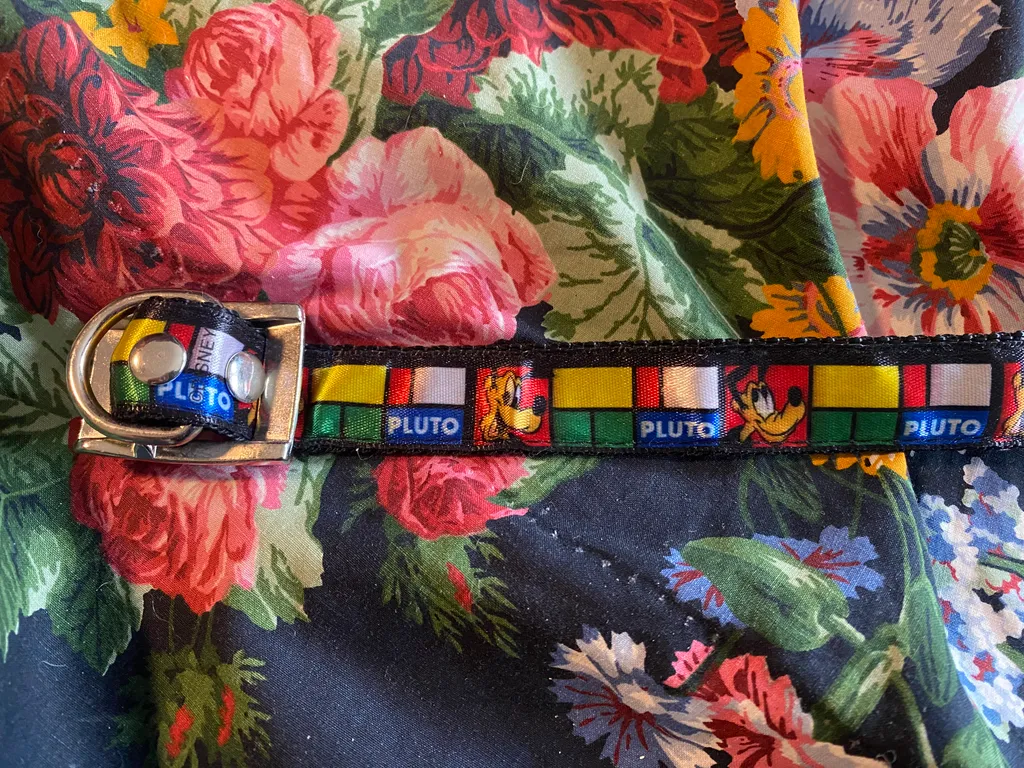 Pluto collar  photo 1