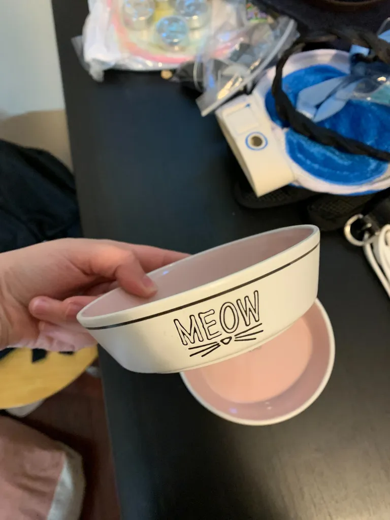 Cute cat food bowls photo 1