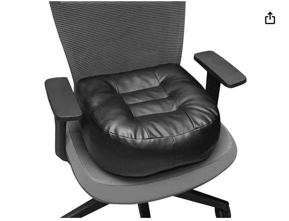 Chair Cushion/Pillow, Extra Tick photo 1