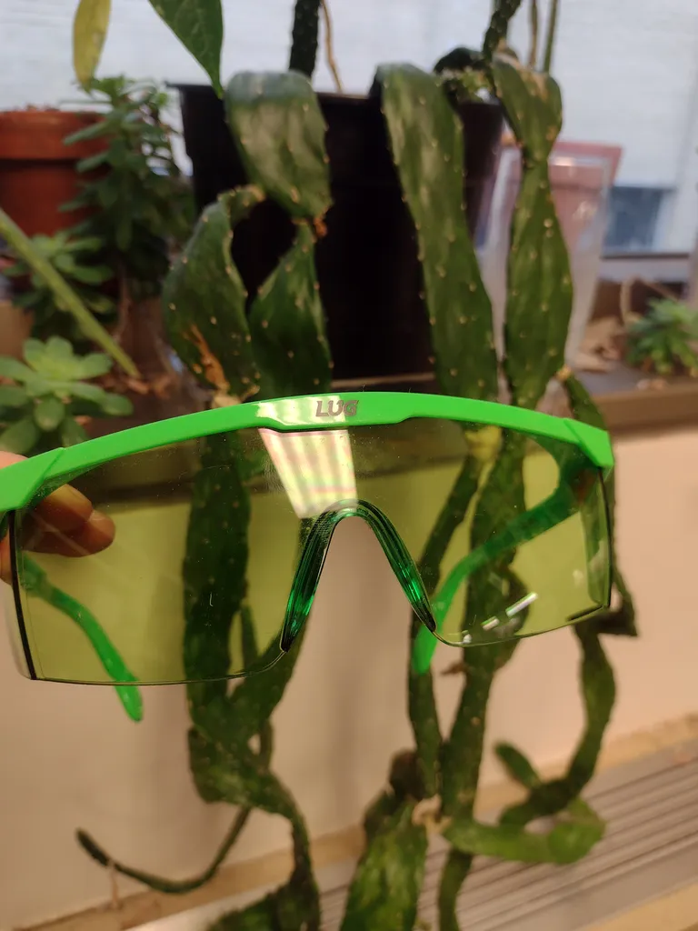 Lug sport shades photo 1