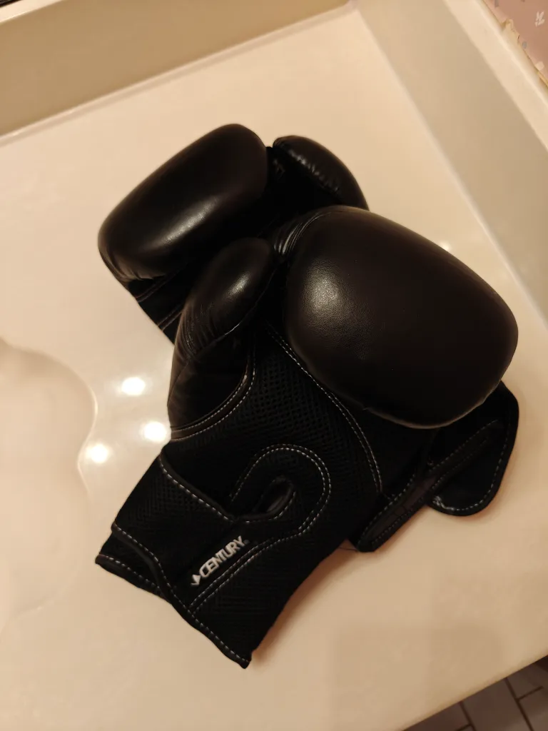 Century Kickboxing Gloves photo 1
