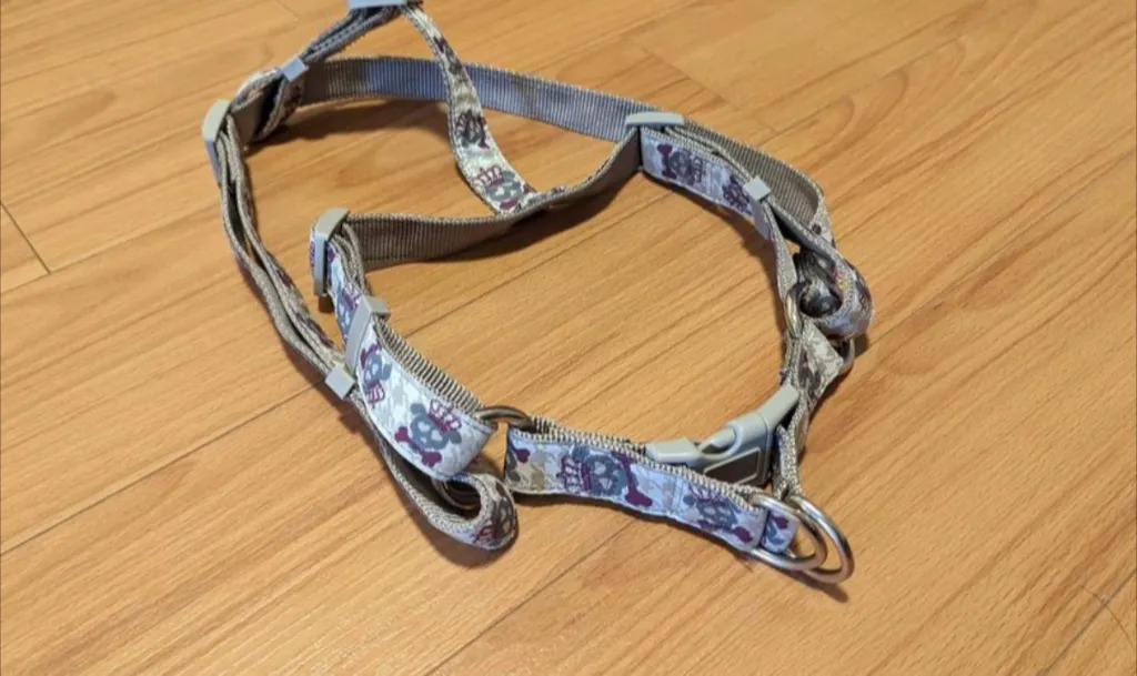 Dog Harness with Skull Pattern  photo 1