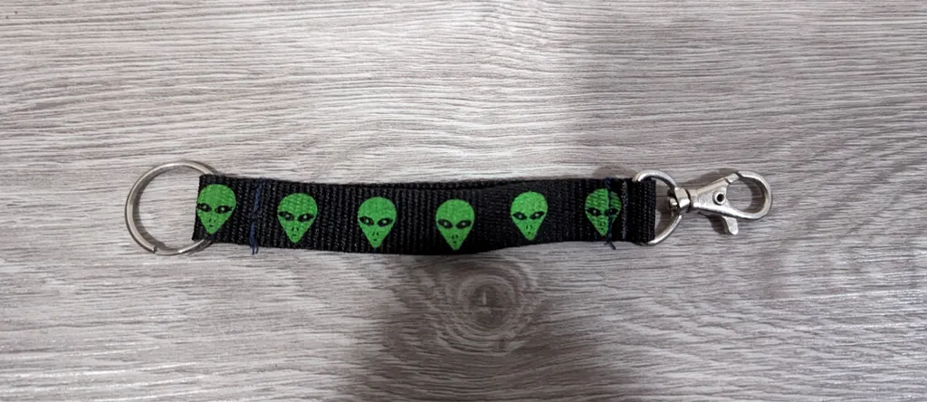 Alien Head Keychain photo 1