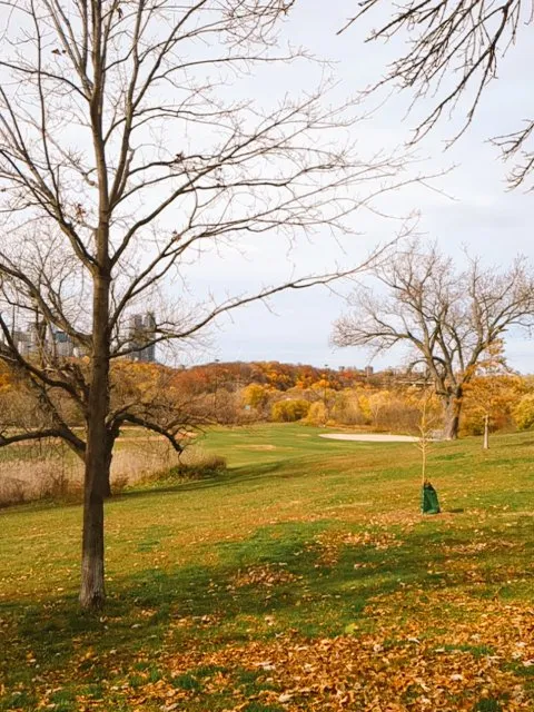 Only 3 weeks left Toronto! 💔 photo 1