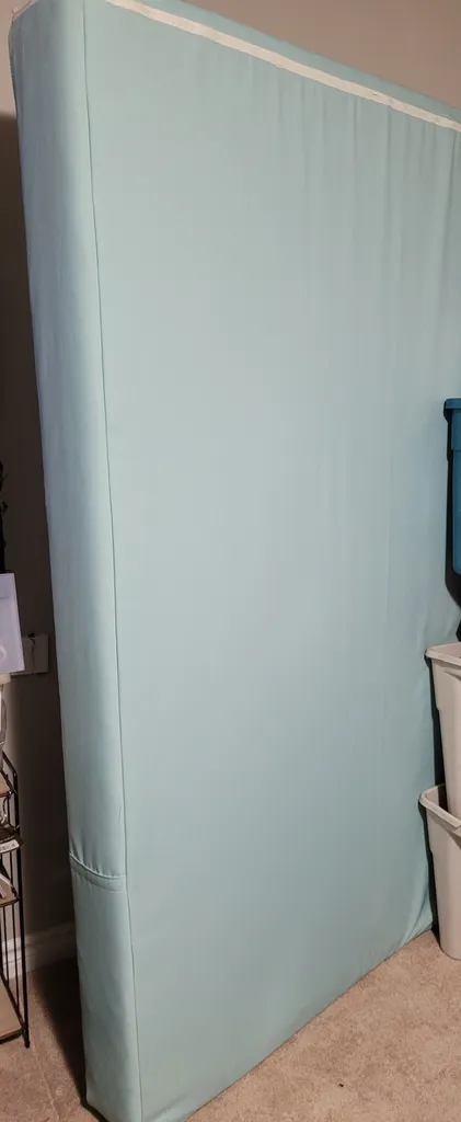 FREE QUEEN size zippered case photo 1