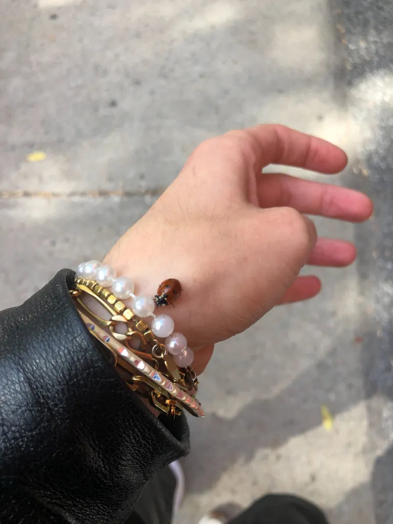 in search of!!

 photo 1