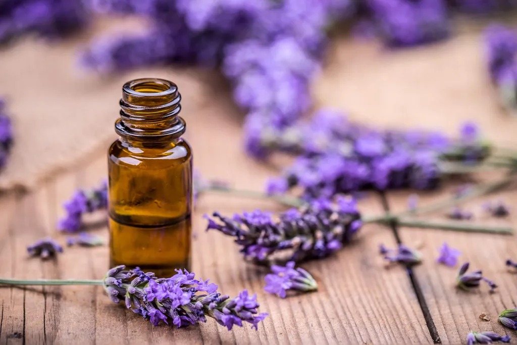 ISO Lavender essential oil photo 1