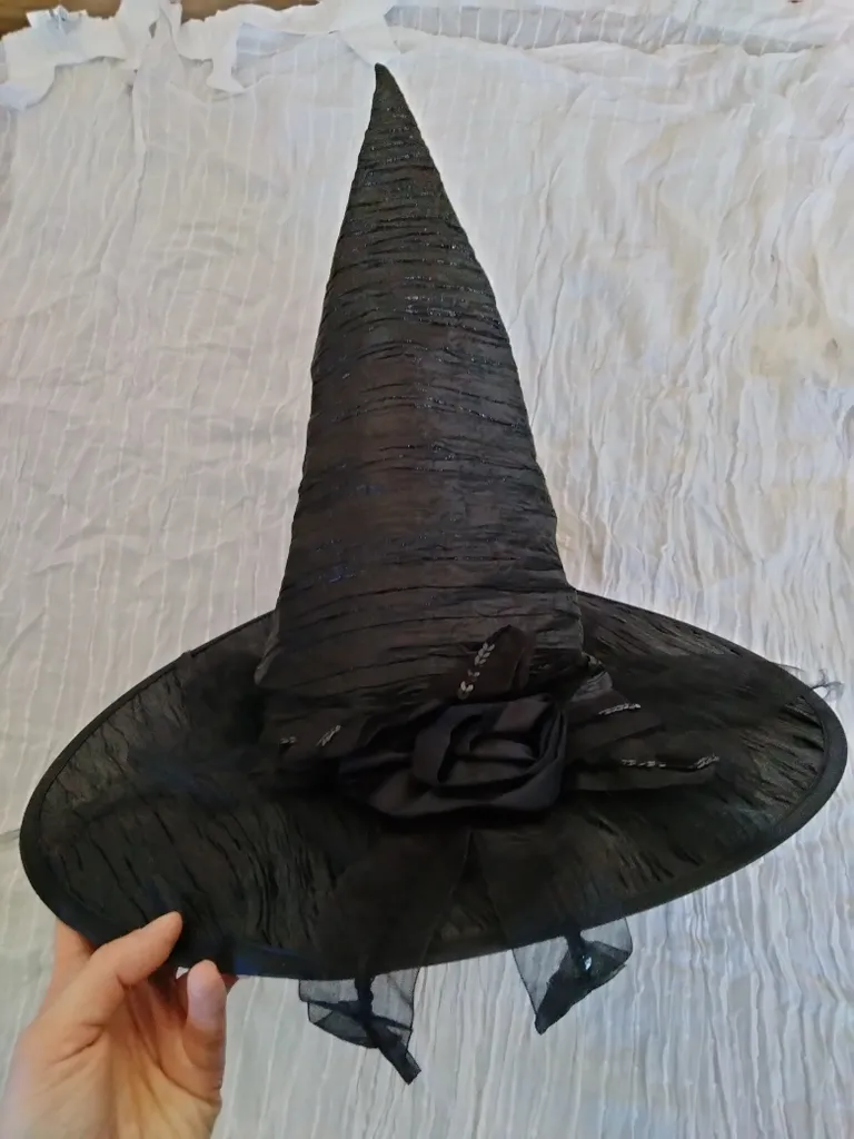 Witch hat and cape photo 1