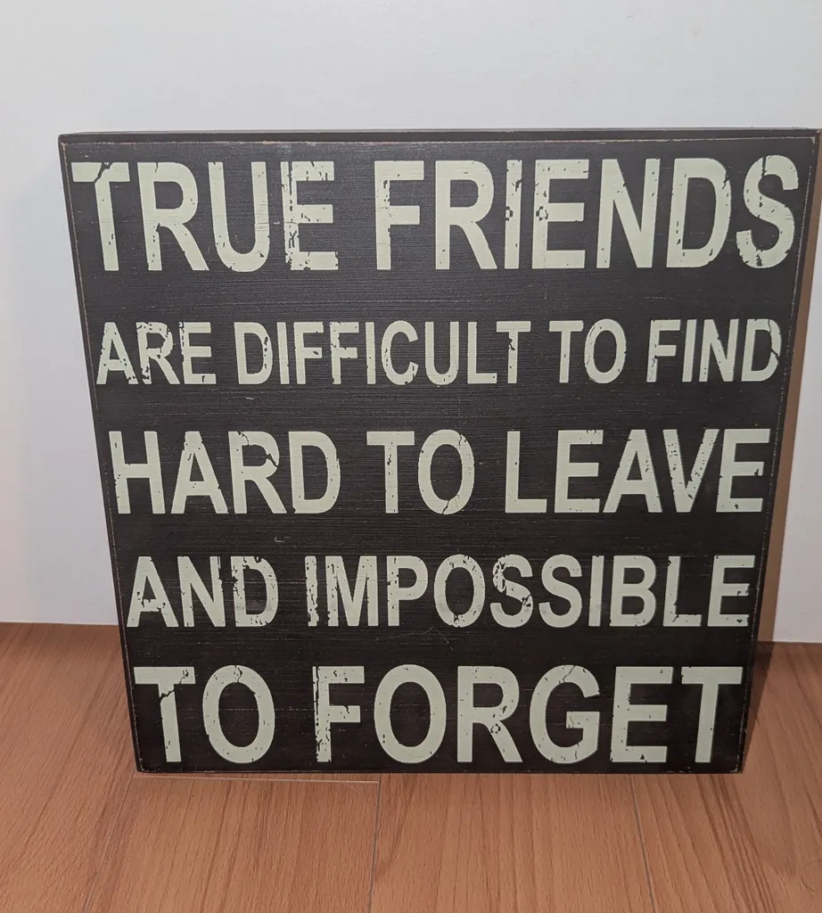Rustic Wood Sign - True Friends Quote photo 1