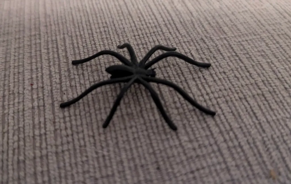 Spider Toy - Halloween Decor photo 1