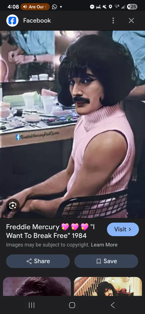 Retro flip wig   photo 1