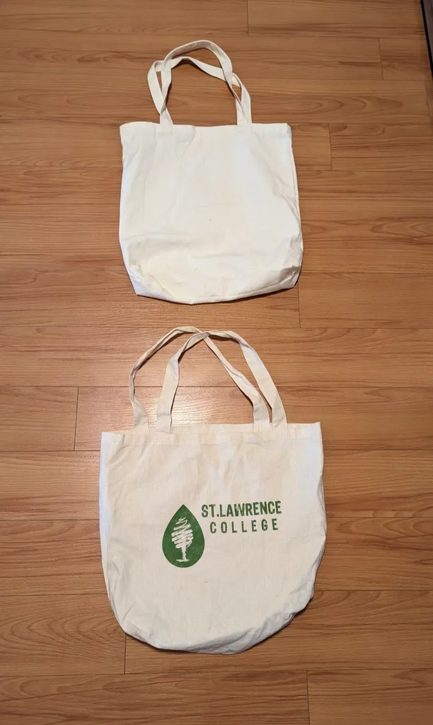 Two Canvas Tote Bags photo 1