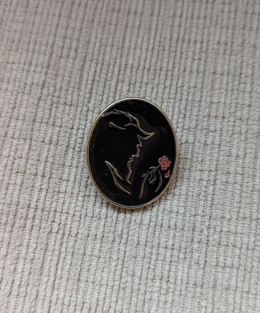Beauty and the Beast Pin photo 1