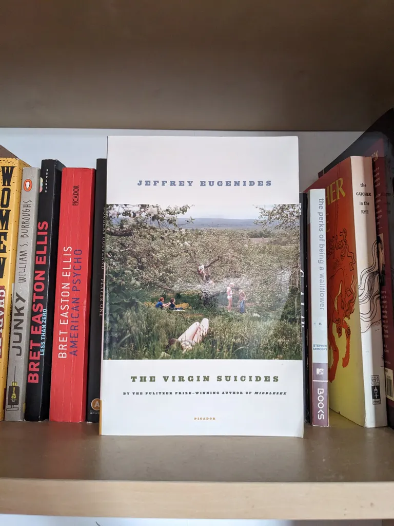 The Virgin Suicides by Jeffrey Eugenides photo 1