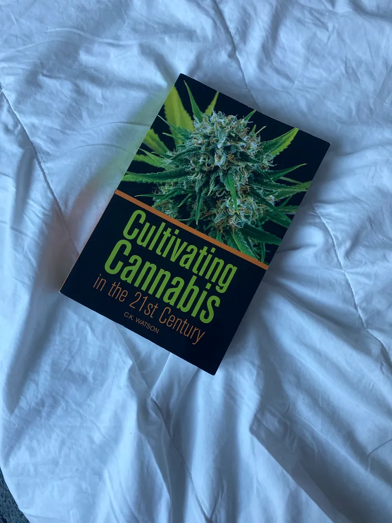 Cultivating cannabis in the 21st century photo 1