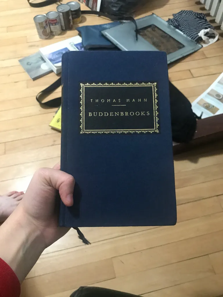 FREE Buddenbrooks by Thomas Mann photo 1