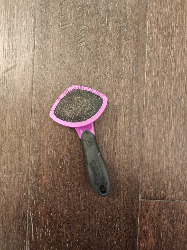 🎀 FREE Pet brush  photo 1