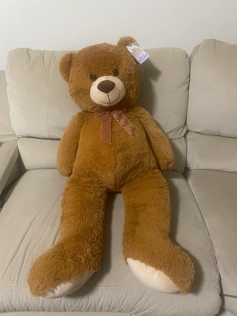 EUC Large plush bear 🐕  photo 1