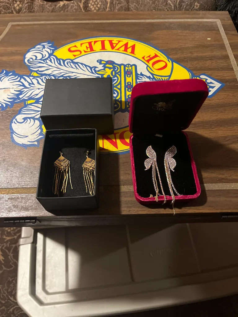 Earrings #BNIP photo 1