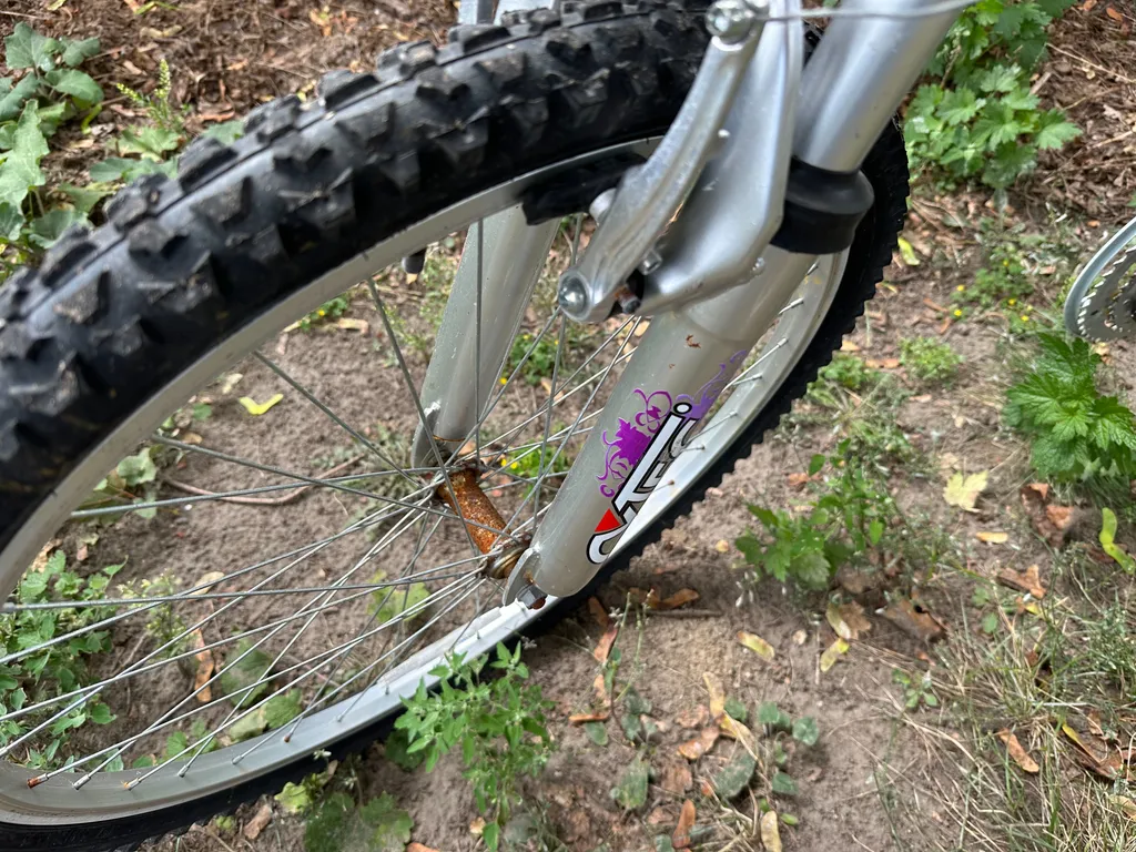 Bikes old need tune ups photo 1